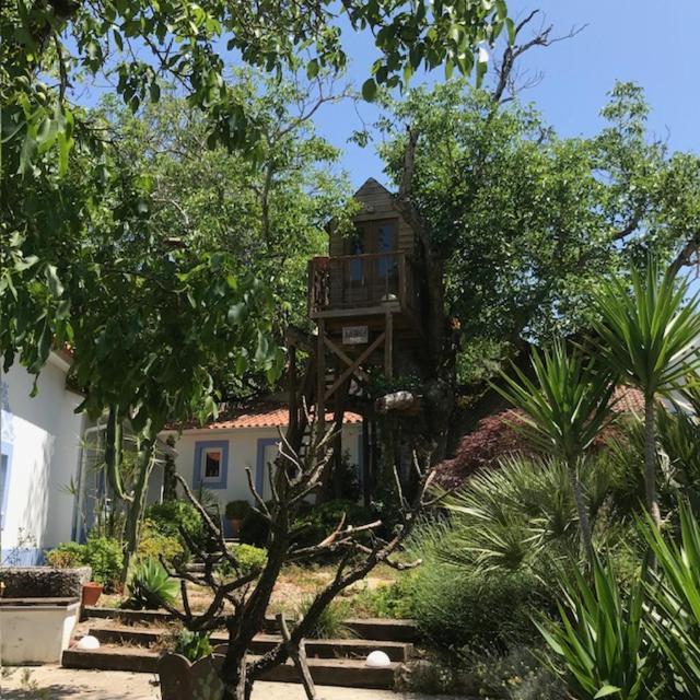 Casa Oliva - Casa Da Serra Porto de Mós Εξωτερικό φωτογραφία
